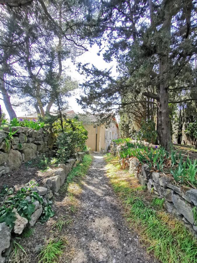 شقة La Pinede Azillanet المظهر الخارجي الصورة